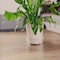 Cwp Curtis Wagner Plastics Everspring 3.25 in. H X 13 in. D Vinyl Plant Saucer Clear CW-1300N - alternate 2